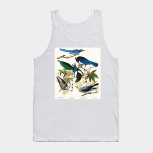 Yellow-Billed Magpie, Stellers Jay, Ultramarine Jay and Clark's Crow from Birds of America (1827) Tank Top